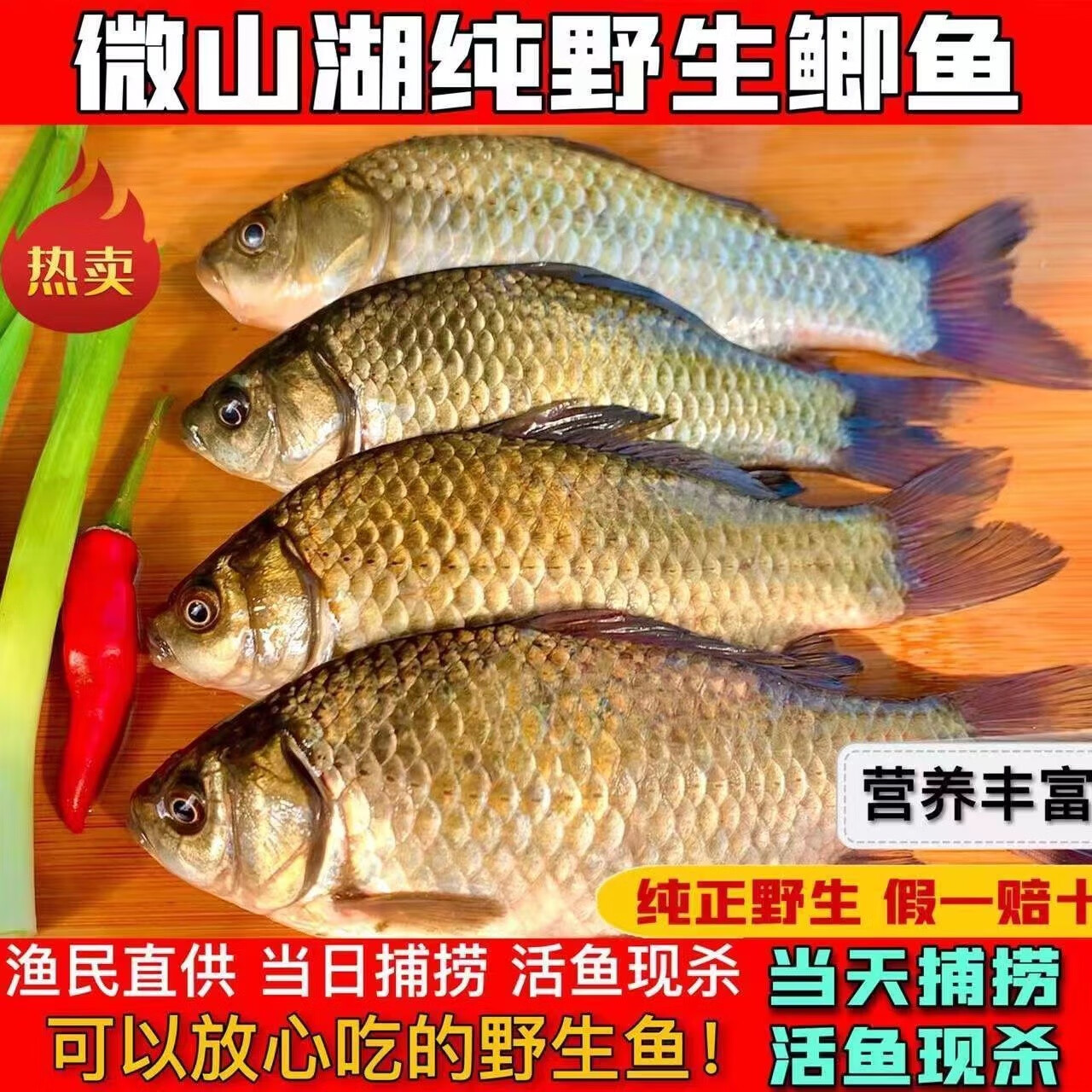 大鲫鱼淡水新鲜小土鲫鱼鲫瓜子炖汤孕妇滋补河鲫 中号鲫鱼(每斤4-5条)