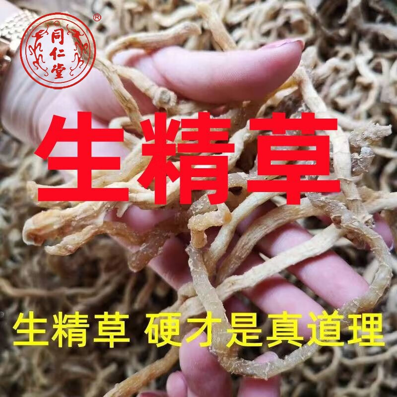 北京同仁堂正宗云南苗族中药材野生生精草不倒草起阳草 不老草 顶天柱