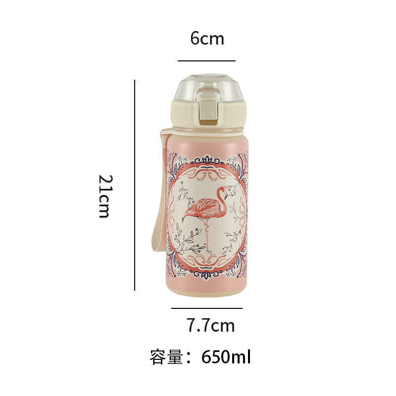 TAEFAIR火烈鸟弹跳杯Tritan茶水分离学生成人便携英式创意含茶滤泡茶水杯 C-镜框火烈鸟Tritan弹跳杯650ml 京东折扣/优惠券