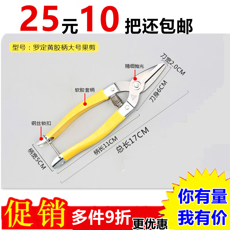 A级罗定不锈钢剪刀果花剪沙糖桔摘果剪柑桔剪修枝剪水果采摘剪刀 A级罗小红剪（15厘米） 10把装+5根弹簧怎么样,好用不?