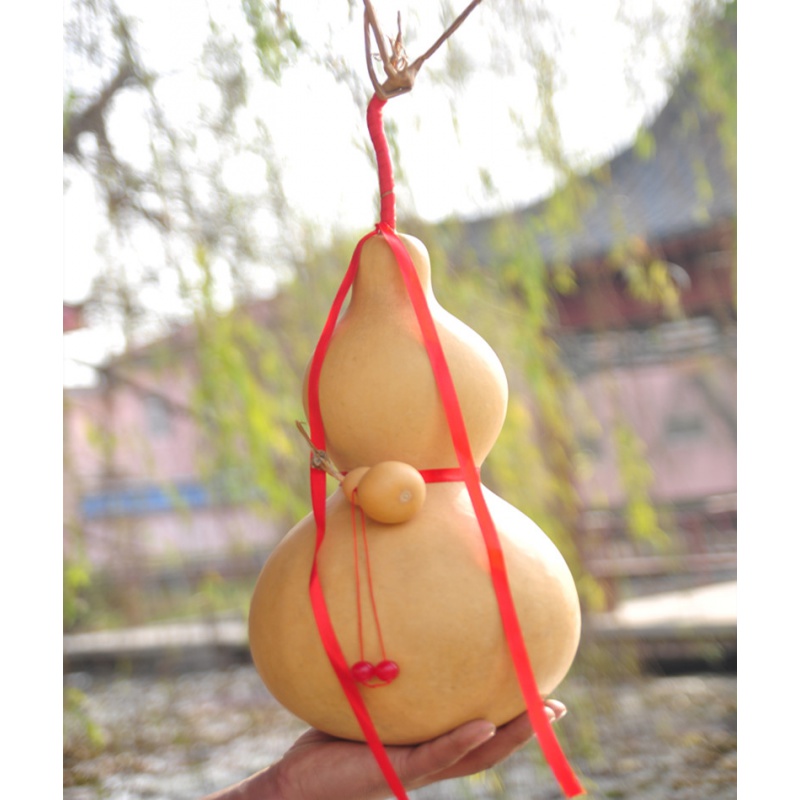 3437厘米形状好有龙头 绑小葫芦