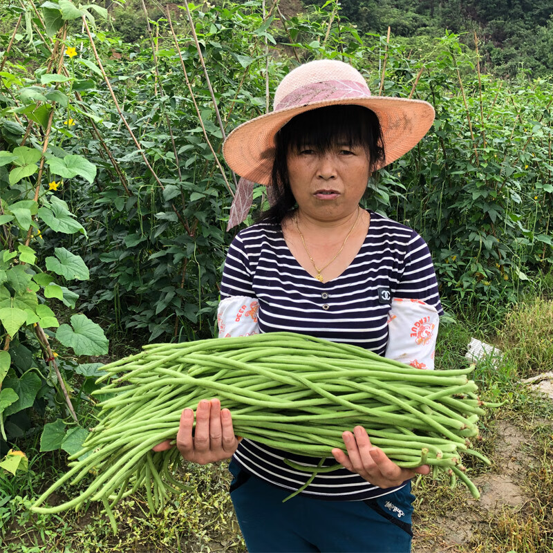 米囹【自然成熟】新鲜长豆角鲜豇豆湖南农家自种当季时令蔬菜现摘现发