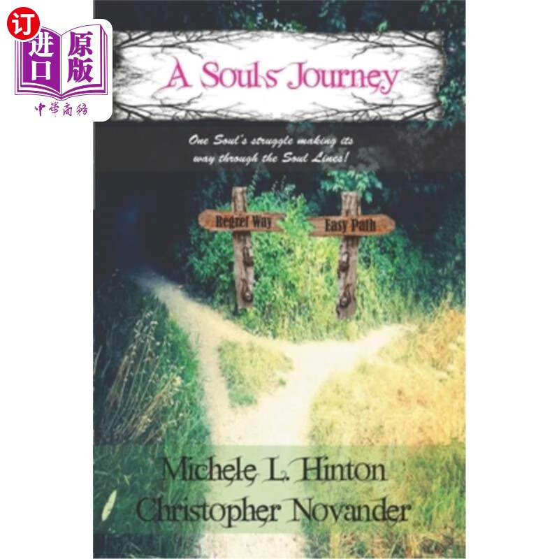 海外直订a souls journey 灵魂的旅程