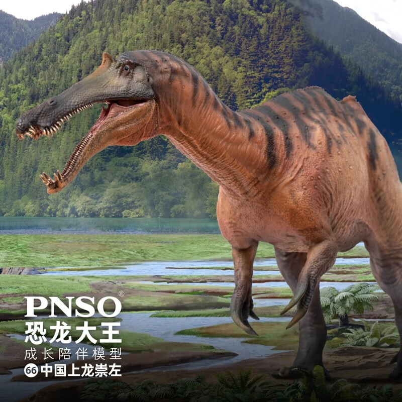 PNSO中国上龙崇左恐龙大王成长陪伴模型66怎么看?