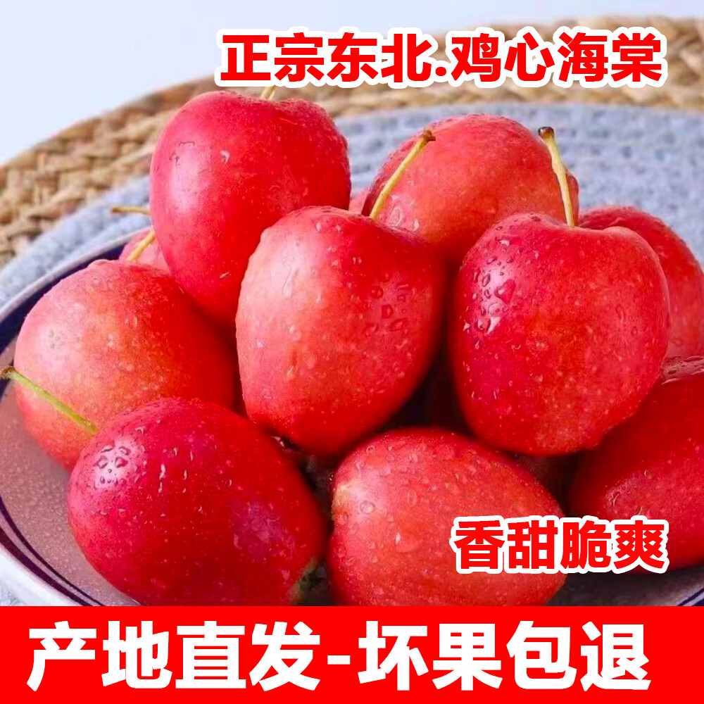 正宗东北鸡心海棠果小苹果应季新鲜孕妇水果海棠产地直发 鸡心果-3斤中果/33-39个