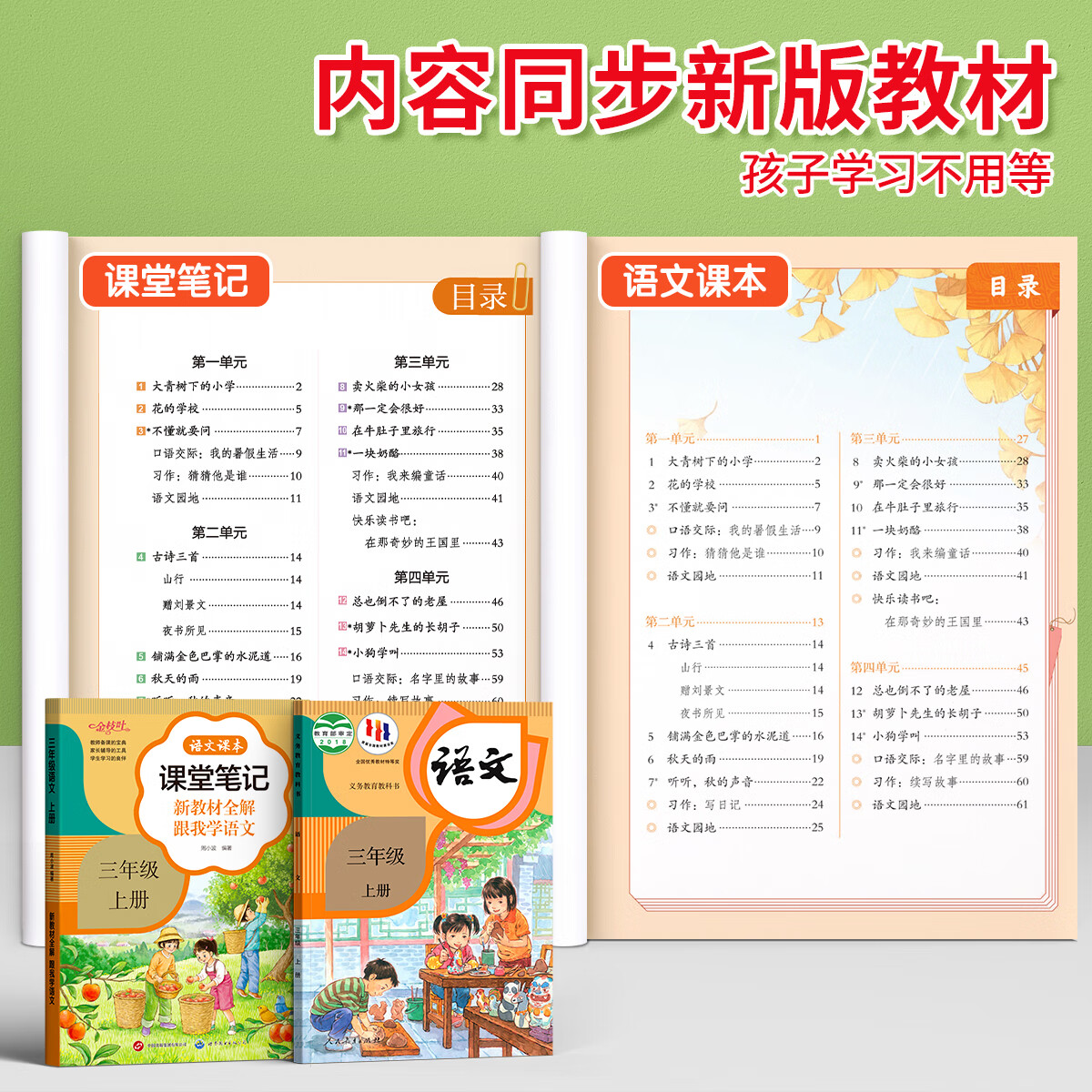 金枝叶课堂笔记一二年级三年级下册人教版课本全套教材全解正版小学生随堂笔记语文上册四五六年级小学同步练习册 六年级上册