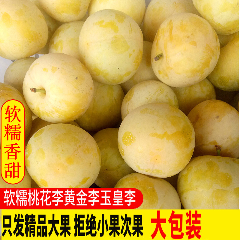 玫栀  四川桃花李玉皇李甜李子黄金奈李蜂糖黄李新鲜水果整 35-55g 3