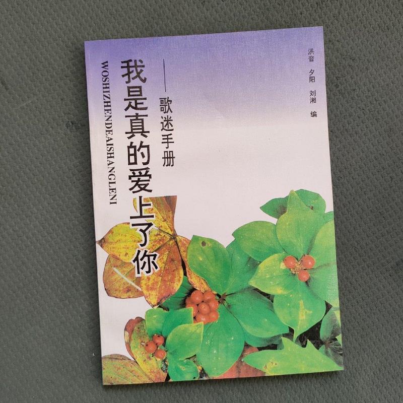 【正版】我是真的爱上了你:歌迷手册9787505923591中国文联出版公司