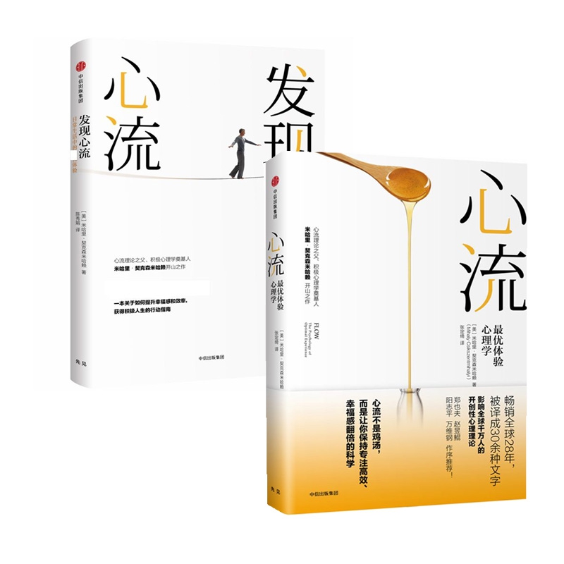 心流 发现心流体验心理学 书籍