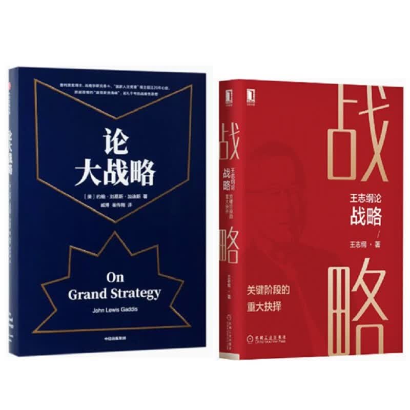 论大战略+王志纲论战略:关键阶段的重大抉择（套2册）