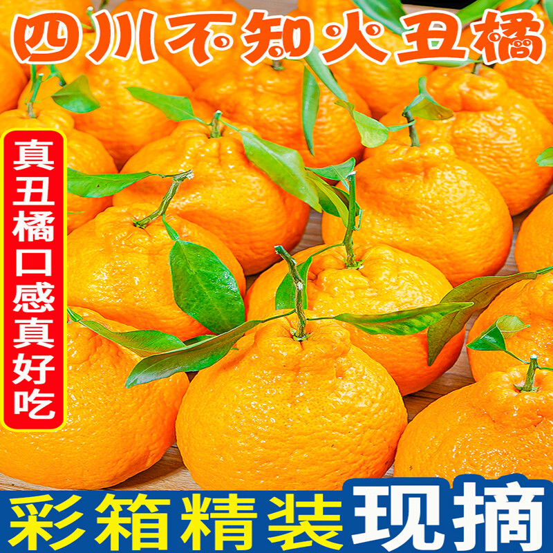 沣御园四川不知火丑橘 桔橘子丑柑丑橘 新鲜时令应季水果 5斤 约12个 单果100-150g