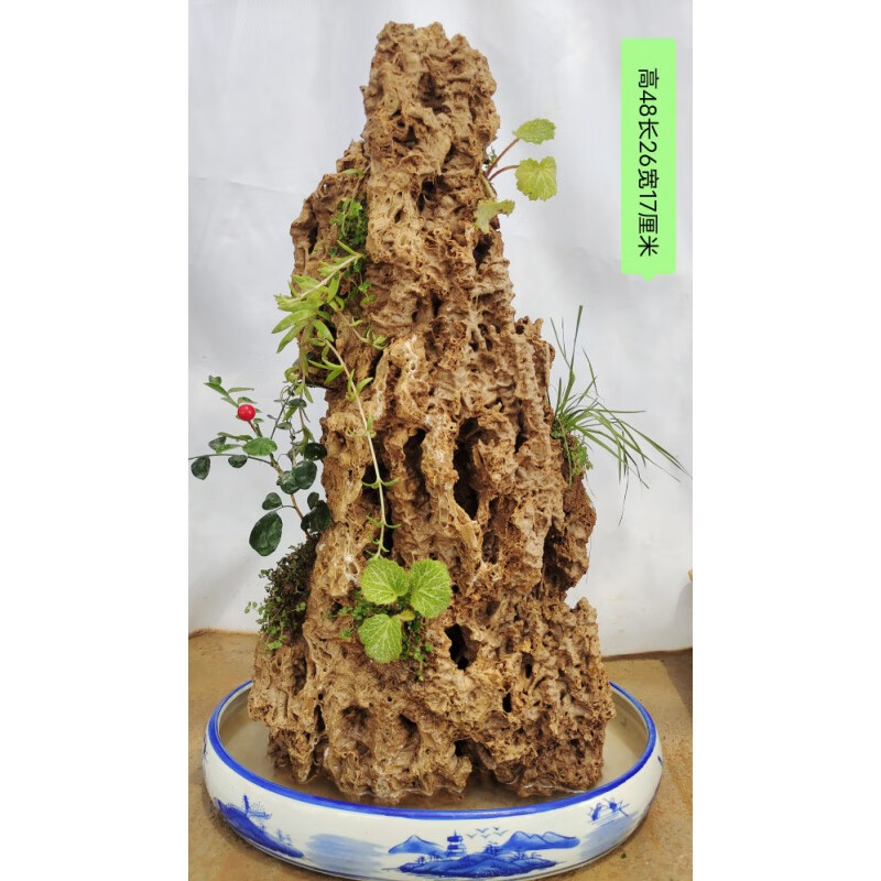 原石吸水石原石上水石假山盆景客厅新流水装饰摆件造景真石头 金色