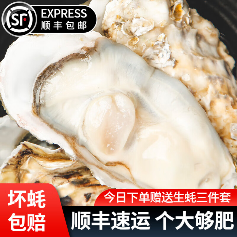 贝倍鲜山东乳山新鲜生蚝 鲜活牡蛎海蛎子海鲜贝类生蚝烧烤食材 5XL 净重4斤（约8-10个）
