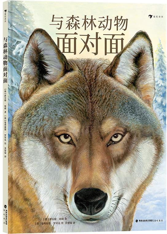 与森林动物面对面童书 岁以上图书