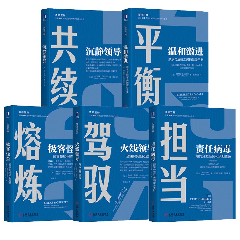 火线领导&沉静领导&极客怪杰&责任病毒&温和激进 共5册(精)