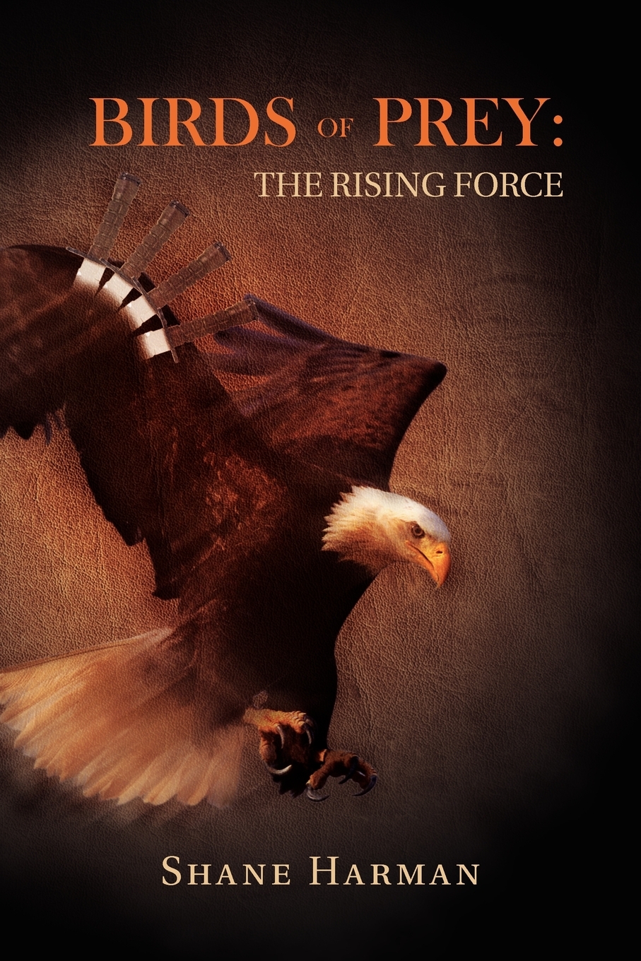 预售 按需印刷 birds of prey