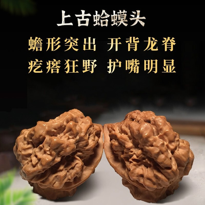 豪珠 云南野生铁核桃金蟾上古蛤蟆头文玩核桃 盘玩核桃把玩手把件