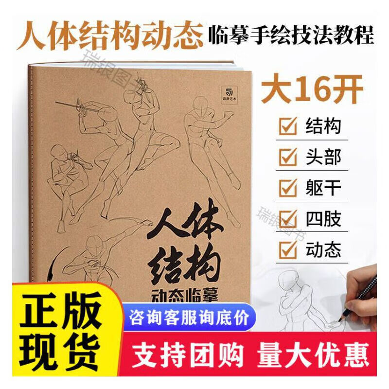 人体结构动态临摹练习册 素描书入门画册教材书 理解形态艺用解剖绘画