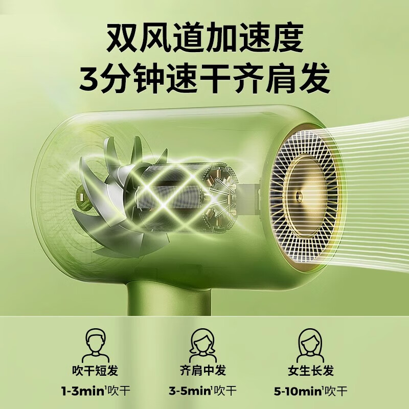 直白【国家补贴】水离子电吹风机家用大风力速干吹风筒大功率冷热循环风定制礼盒七夕情人节礼物 HL6绿