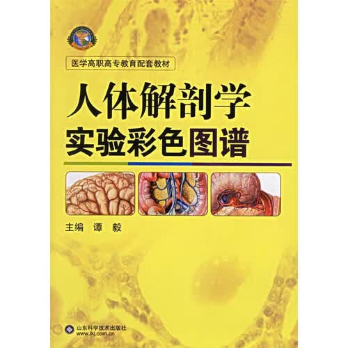 人体解剖学实验彩色图谱【正版好书】