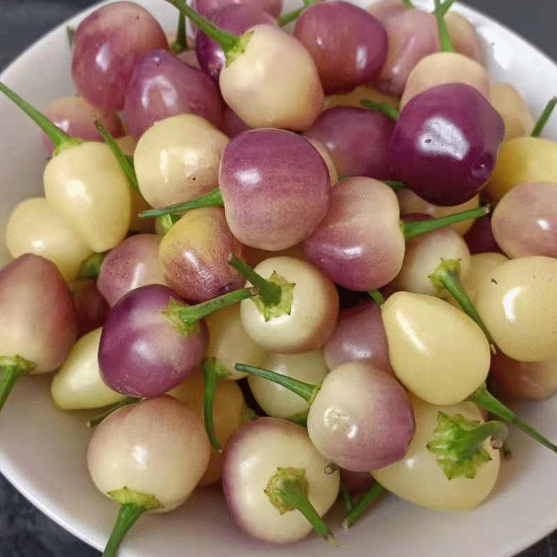 维霆广西特产新鲜七彩椒辣椒五彩椒泡椒灯笼椒剁椒五色小米辣 1斤