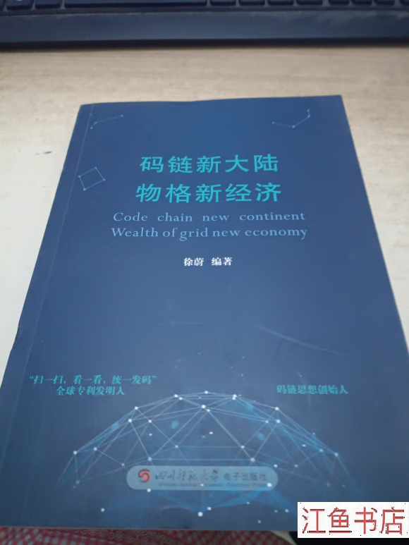 二手书二手八五新 码链新大陆 物格新经济 徐蔚 四川师范大学电子出版