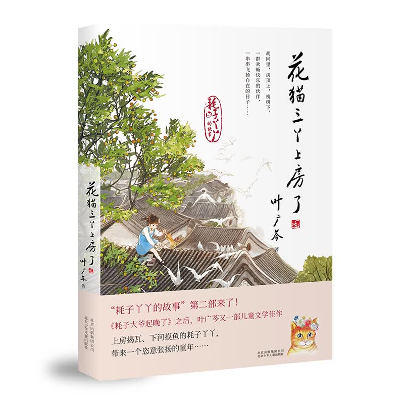 花猫三丫上房了（入选2019年度中国好书）高性价比高么？