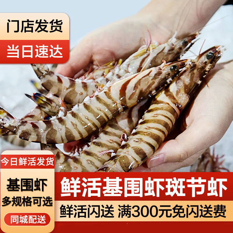 梦尝客【活鲜】梦尝客基围虾鲜活大虾活虾 15-30只/斤 鲜活基围虾斑节