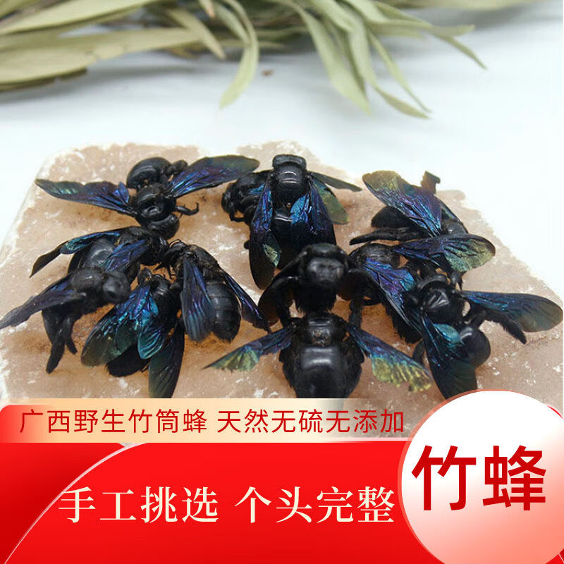 北京同仁堂 北京同仁堂原材料广西野竹筒蜂咳嗽痰多新鲜无添加咸 袋装