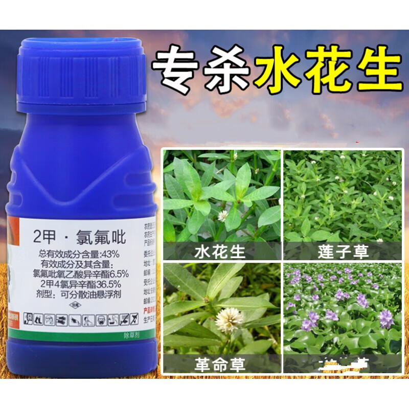 阔枪水花生烂根剂革命草用除草剂打水花生的药水杀水杀草药 250g