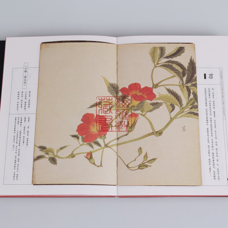 美了千年 却被淡忘 诗经名物图解 国学经典 诗经中的植物 中国画报出版社