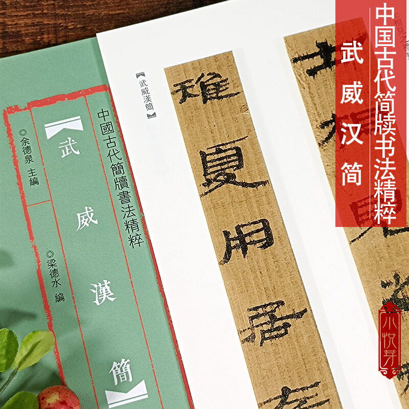 中国古代简牍书法精粹 武威汉简 毛笔书法字帖 临摹赏析 汉简字帖 毛笔古代简牍书法 简牍书法研究 河
