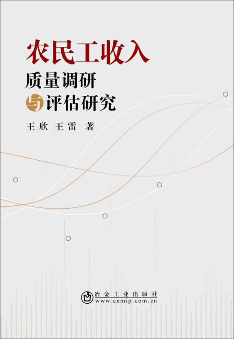 农民工收入质量调研与评估研究