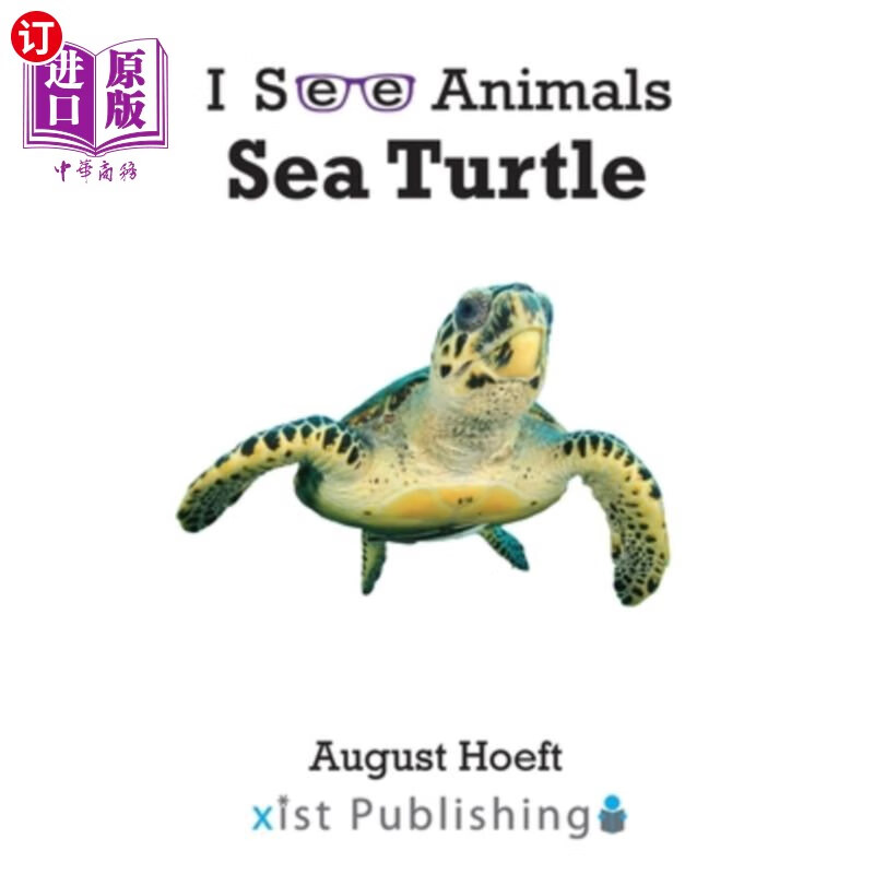 海外直订sea turtle 海龟