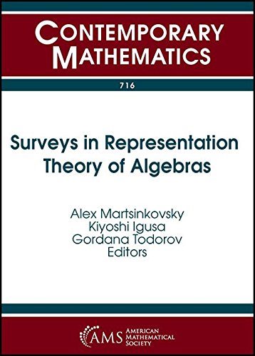 【预订】surveys in representation theory of