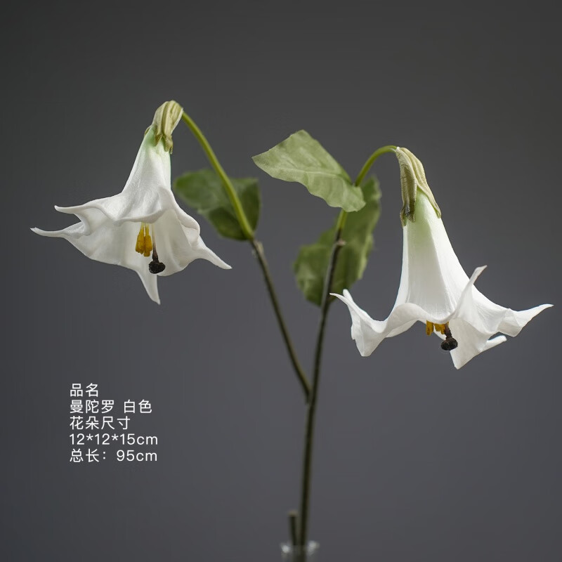 花ins自然风真客厅卧室餐厅桌面摆放花卉pu手感花 曼陀罗 白色 0支