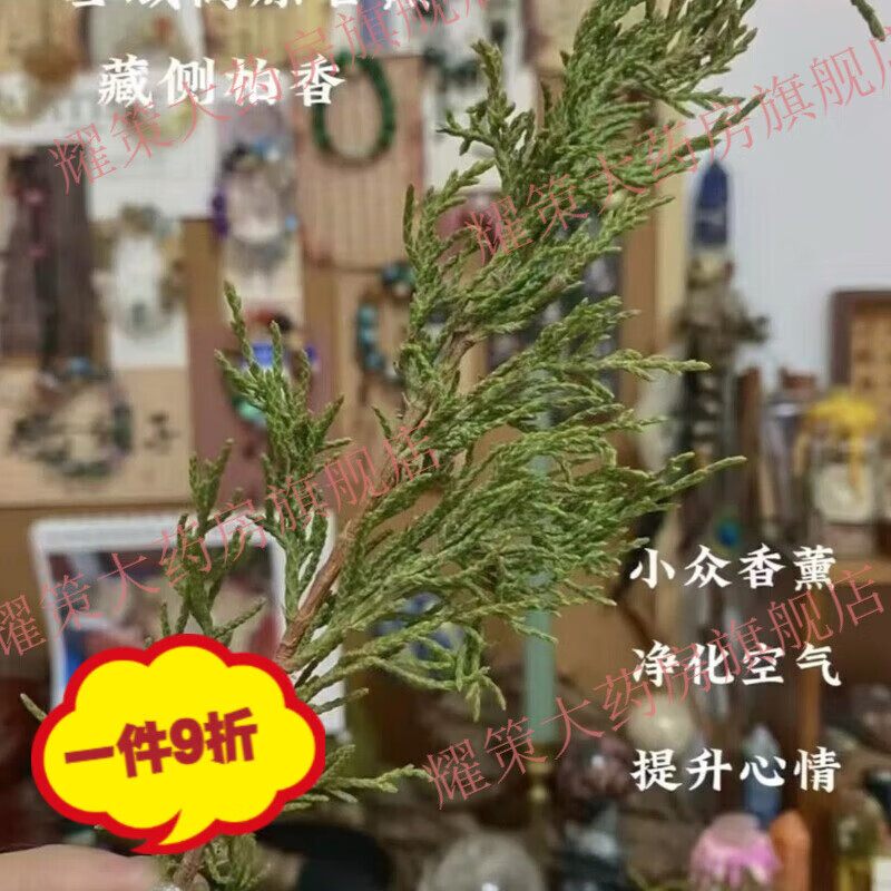 藏香柏 正宗新鲜秘境藏香独特天然植物净化香薰松柏香香藏 高原藏 200g[西域藏香]可用1月