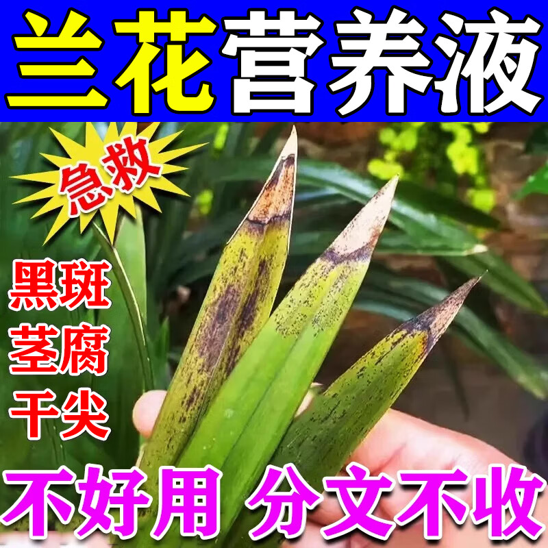 兰花专用营养液叶黑黄斑枯叶焦尖促开花兰花多箭素兰花肥料专用肥 1瓶装【500ml】 京东折扣/优惠券