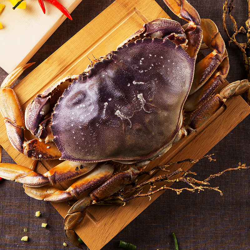 珍宝蟹面包蟹冰鲜帝王蟹超大珍宝蟹水产海鲜鲜活冷冻大螃蟹 鲜活蟹1.5斤左右/只