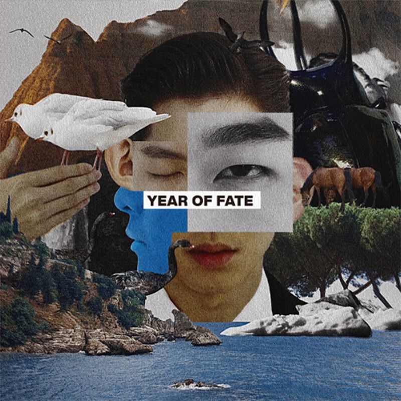 傻子与白痴专辑 year of fate 黑胶lp