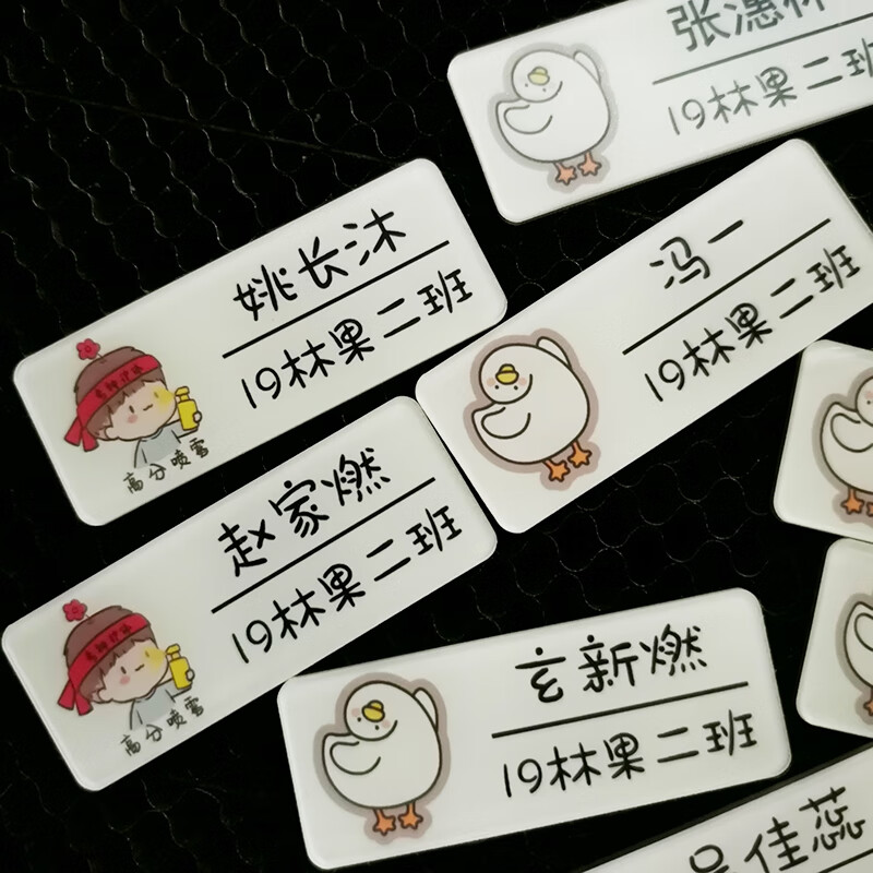 幼儿园入园名字胸针来图徽章定制胸牌亚克力胸针可爱姓名班级学生高校