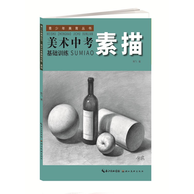 正版图书 美术中考基础训练--素描 素描速写类书籍 练--素描