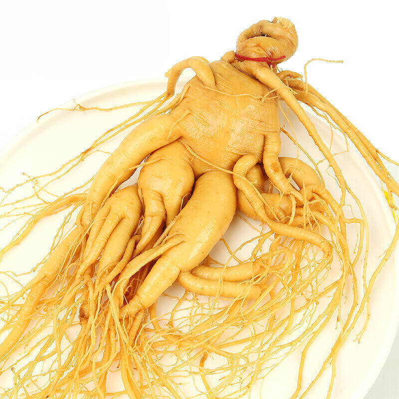 【18年新鲜大人参半斤装】山参长白山新鲜人参林下鲜参 18年1枝装