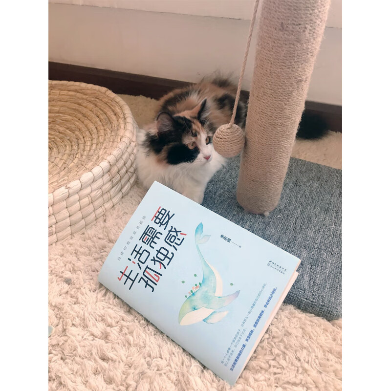 生活需要孤独感:自律的极致就是孤独详情图