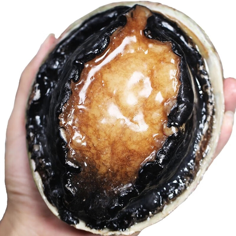 三蟹岛 【活鲜】 澳鲍 大利亚鲜活大鲍鱼 澳洲鲍鱼 澳鲍刺身级 海鲜