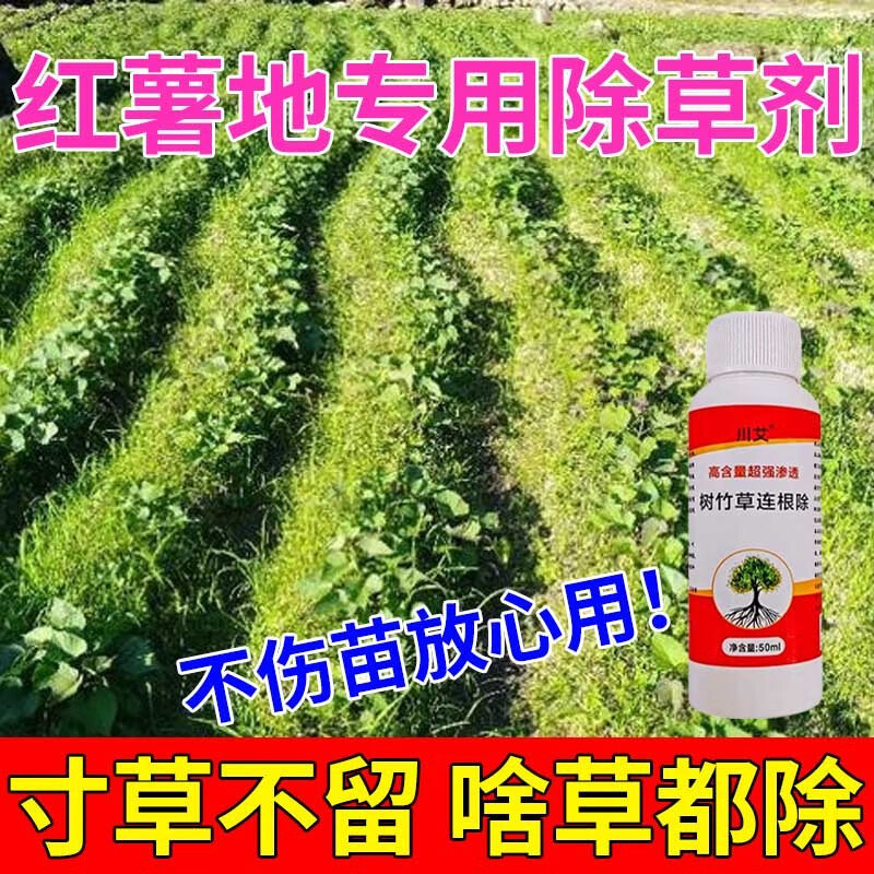 红薯地专用除草剂苗前苗后除草禾阔双除不伤红薯苗田除草烂根剂 【高