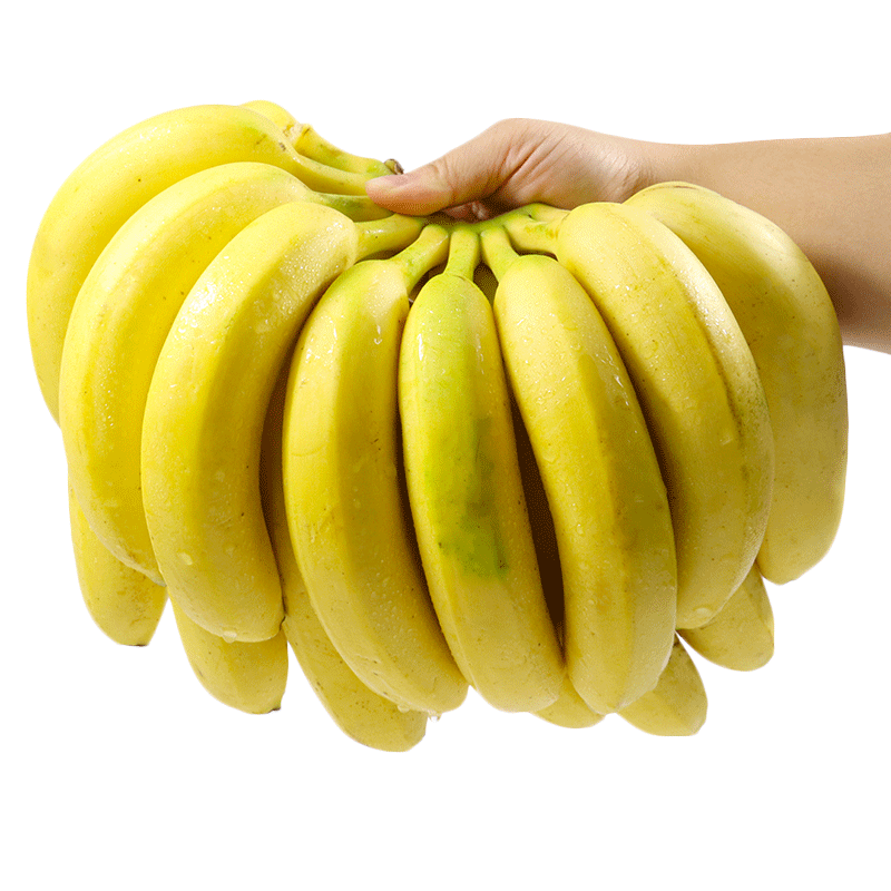 ����������ȯ�������ؼ�APP:������  ���㽶 9�� SX