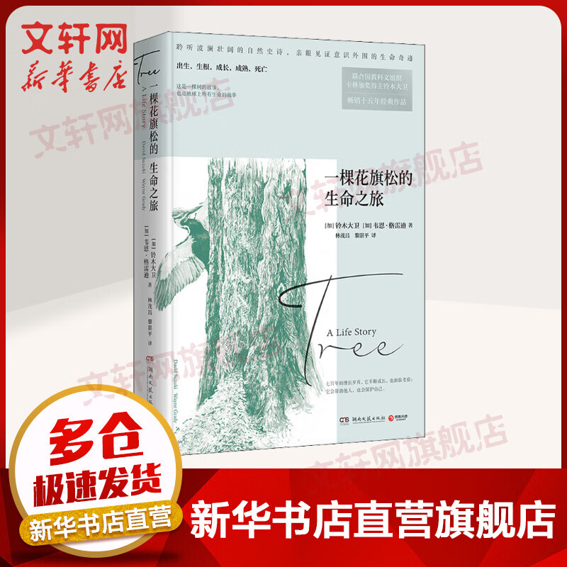 一棵花旗松的生命之旅