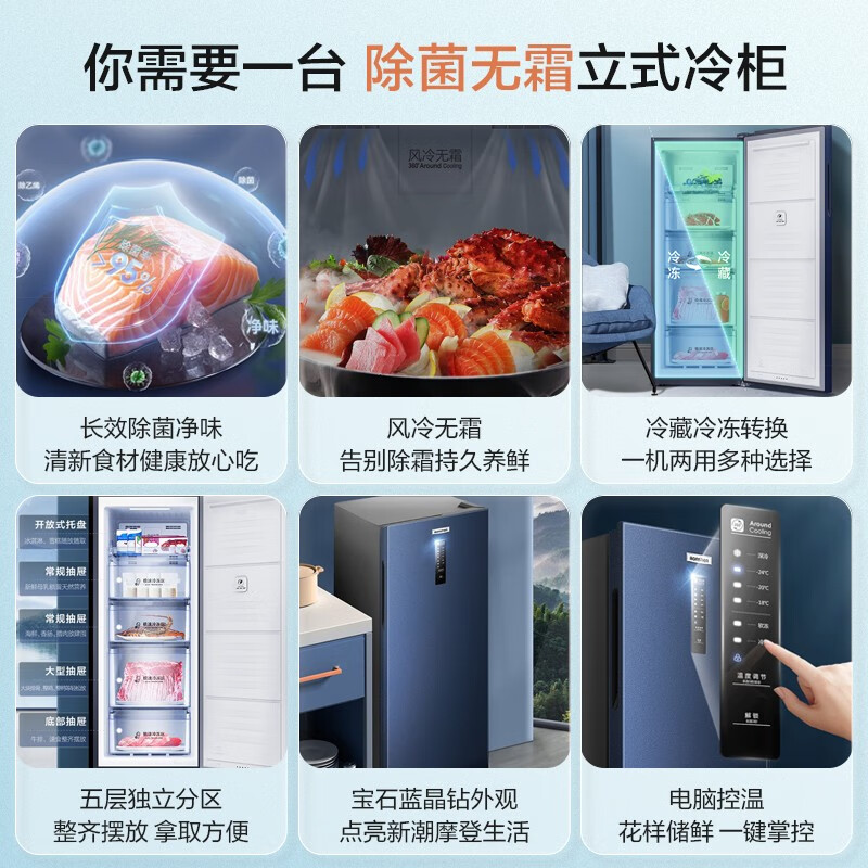 容声（Ronshen）158升立式冰柜家用冷藏冷冻柜商用保鲜柜冰箱风冷无霜除菌净味一级能效囤货无忧