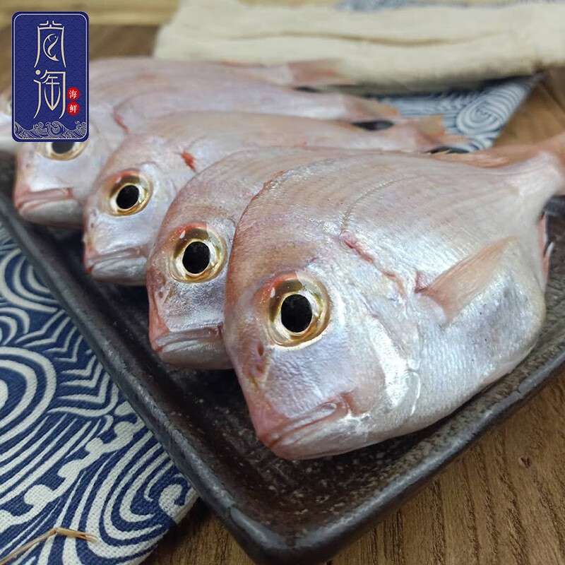 尚淘 东山岛新鲜赤鯮鱼1kg 赤棕鱼深海捕捞海鱼海鲜水产 2斤